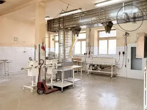 Prodej výrobních prostor, Netolice, Bavorovská, 650 m2