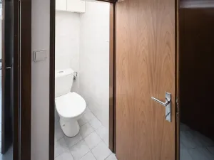 Prodej bytu 3+kk, Praha - Vinohrady, Vinohradská, 68 m2
