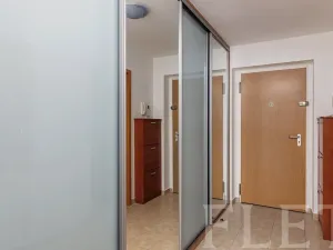 Pronájem bytu 1+kk, Praha - Michle, Jemnická, 39 m2