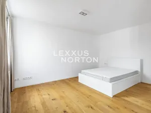 Pronájem bytu 6+kk a větší, Praha - Bubeneč, Mlýnská, 325 m2