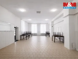 Pronájem komerční nemovitosti, Ostrava, Těšínská, 140 m2