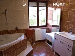 Prodej rodinného domu, Radenín, 276 m2