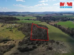 Prodej lesa, Obytce, 20042 m2