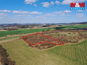 Prodej lesa, Obytce, 20042 m2