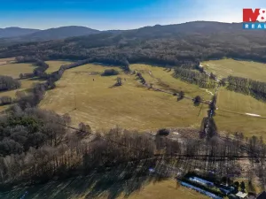Prodej louky, Dětřichov, 4178 m2