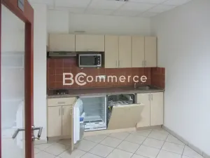 Pronájem skladu, Brno, 575 m2