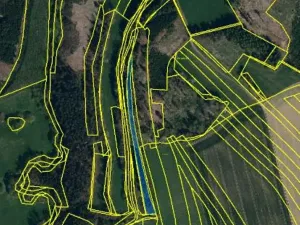 Prodej lesa, Rovná, 2569 m2