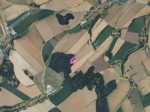 Prodej lesa, Morašice, 11313 m2