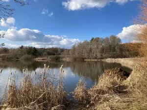 Prodej rodinného domu, Kotenčice, 342 m2