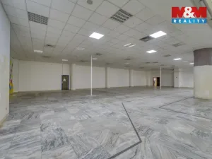 Pronájem obchodního prostoru, Plzeň - Východní Předměstí, Americká, 1603 m2