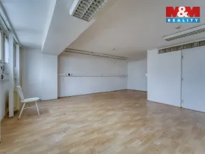 Pronájem obchodního prostoru, Plzeň - Východní Předměstí, Americká, 1603 m2