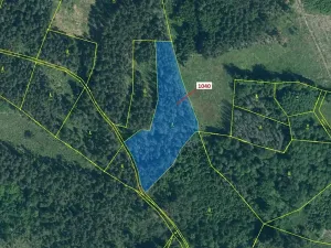 Dražba lesa, Hradiště, 6519 m2