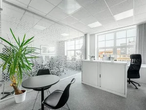 Pronájem obchodního prostoru, Praha - Holešovice, U Uranie, 270 m2