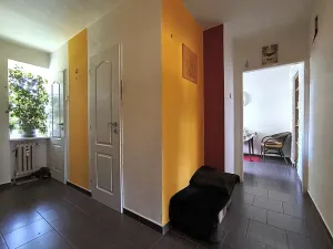 Prodej bytu 1+1, Brno, Klímova, 45 m2