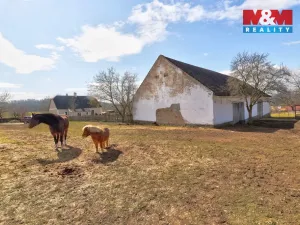 Prodej zemědělské usedlosti, Dražíč - Vranov, 112 m2