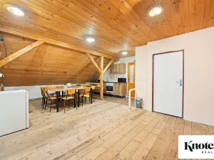 Prodej výrobních prostor, Račice-Pístovice, 479 m2