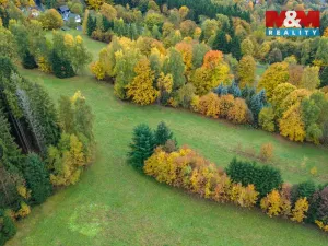 Prodej louky, Tanvald - Šumburk nad Desnou, 2029 m2