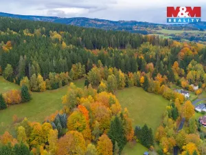 Prodej louky, Tanvald - Šumburk nad Desnou, 1444 m2
