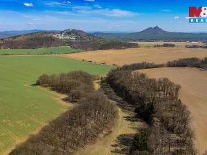 Prodej louky, Tachov, 12761 m2