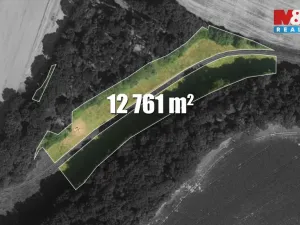 Prodej louky, Tachov, 12761 m2