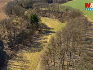 Prodej louky, Tachov, 12761 m2