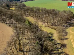 Prodej louky, Tachov, 12761 m2