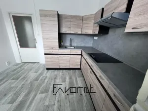 Pronájem bytu 1+1, Ostrava, Jičínská, 38 m2