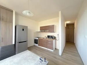 Pronájem bytu 1+1, Liberec, Jáchymovská, 34 m2