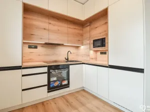 Pronájem bytu 1+kk, Olomouc, Hálkova, 30 m2