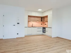 Pronájem bytu 2+kk, Olomouc, Hálkova, 62 m2