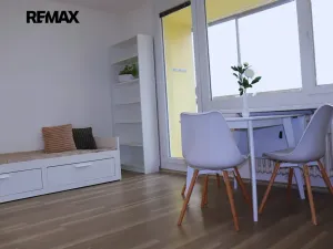 Pronájem bytu 1+kk, Plzeň, Plaská, 27 m2