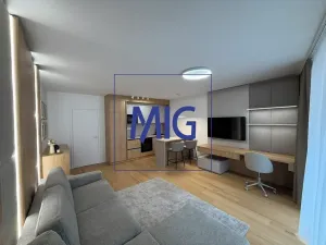 Pronájem bytu 1+kk, Brno, Bratislavská, 45 m2