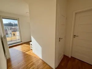 Pronájem bytu 2+kk, Praha - Smíchov, Kotevní, 66 m2