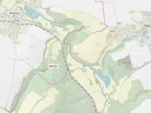 Dražba lesa, Havlíčkův Brod, 281 m2