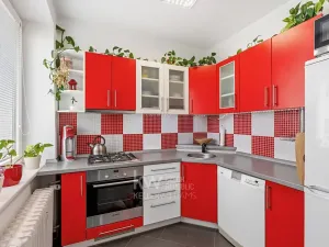 Prodej bytu 2+1, Cheb, Nová, 49 m2