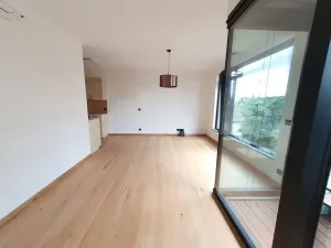 Pronájem kanceláře, Praha - Břevnov, U Petřin, 55 m2