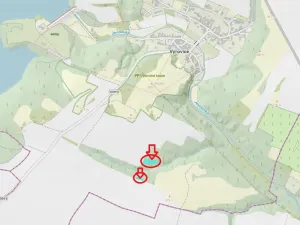 Prodej podílu lesa, Výrovice, 1459 m2