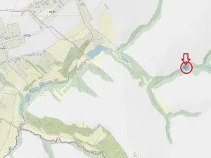 Prodej lesa, Mistřice, 1951 m2