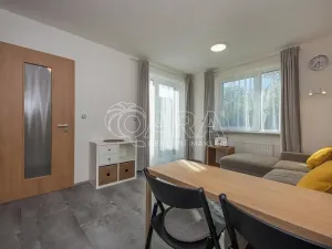 Pronájem bytu 1+kk, Praha - Chodov, Švabinského, 25 m2