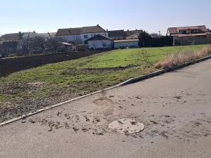 Prodej pozemku, Moutnice, 1320 m2