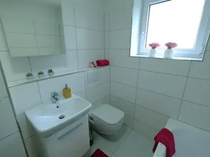 Pronájem bytu 2+1, Uherský Brod, 56 m2