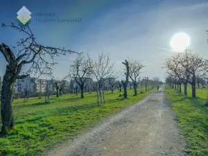 Pronájem bytu 3+kk, Praha - Hrdlořezy, V třešňovce, 109 m2