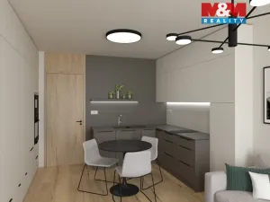 Prodej bytu 1+kk, Olomouc, Wolkerova, 33 m2