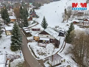 Prodej ubytování, Čenkovice, 297 m2