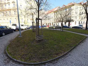 Pronájem bytu 2+kk, Praha - Vinohrady, Na Kozačce, 50 m2