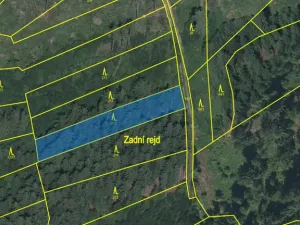 Prodej lesa, Kolinec - Buršice, 1299 m2