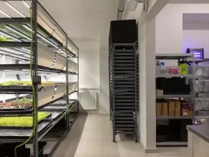 Pronájem obchodního prostoru, Praha - Nové Město, Pštrossova, 79 m2