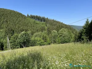 Prodej lesa, Krásná, 21810 m2