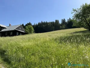 Prodej lesa, Krásná, 21810 m2