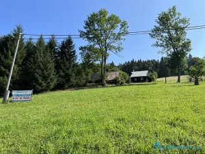 Prodej lesa, Krásná, 21810 m2